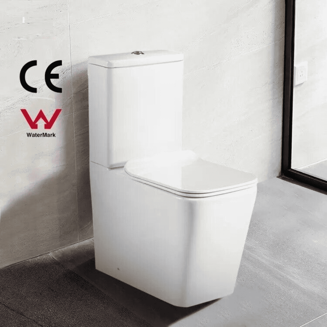 Rimless Wash Down Water Closet Commode P-trap Toilet